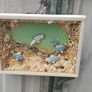 Shadow Box Image 2