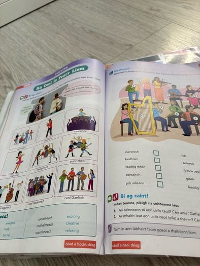 Irish school books