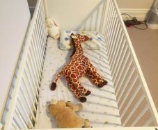 Baby Cot Bed