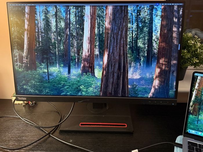 Lenovo ThinkVision USB-C Monitor