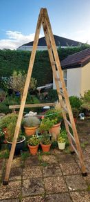 Tall Wooden Ladder