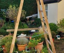 Tall Wooden Ladder