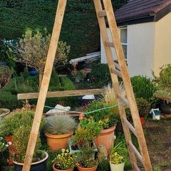 Tall Wooden Ladder