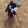 golf set for kids Image 2