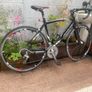 Ridley 7005 racing 30 speed 700x25c wheels 19.5 inch frame very good condition shimano tiagra group set Image 2
