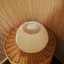 glass lamp shades Image 4