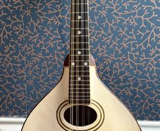 Gibson Mandolin
