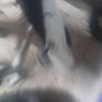 suzuki k8 1000 Image 3