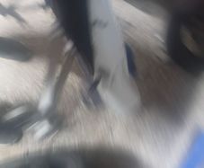 suzuki k8 1000