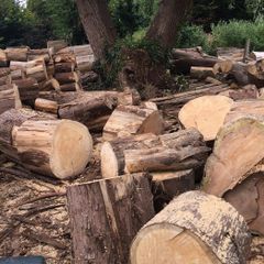 fire wood logs timber  seasoned FREE to take away