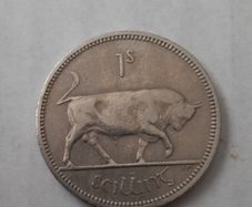 Irish shilling coin in case