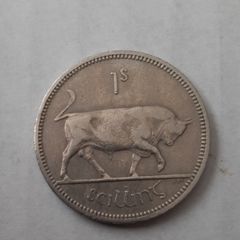 Irish shilling coin in case