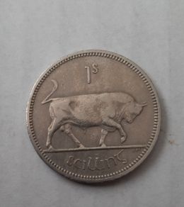 Irish shilling coin in case