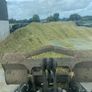 Maize Image 2
