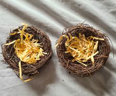 Easter Nests X 2