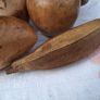 Set of 13 Mid Century Acacia Hardwood Fruits Image 9