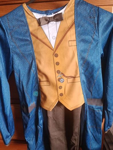 Boy fancy dress costume