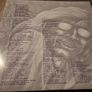Rodriguez coming from reality vinyl Image 5