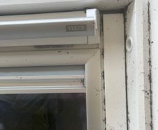 velux
