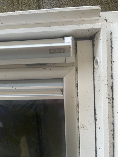 velux