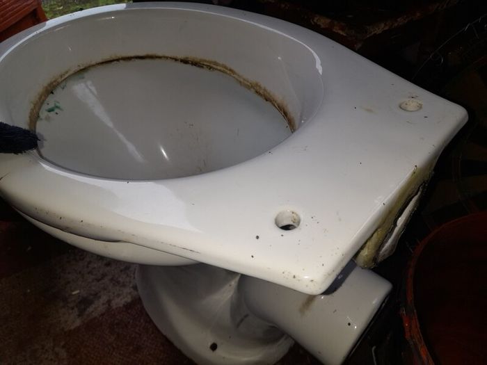 Toilet (has A Crack On It)