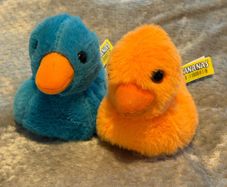 Ducks