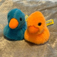 Ducks