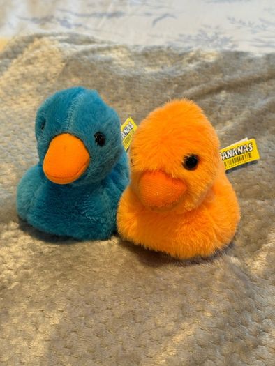Ducks