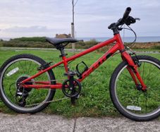 Giant ARX 20