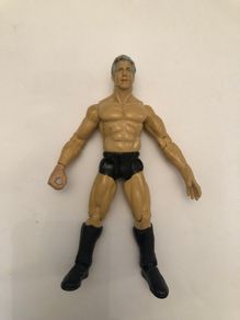 WWE Titan Tron Live Ric Flair