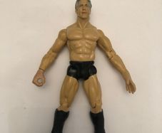 WWE Titan Tron Live Ric Flair