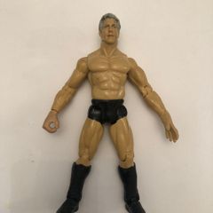 WWE Titan Tron Live Ric Flair