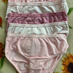 Girls briefs set of 5