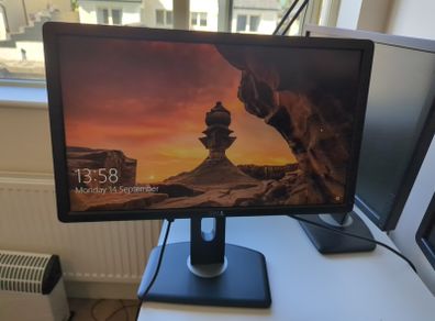 Dell Monitor P2212H - nice picture, VGA cable included