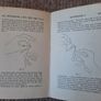 Vintage book 'Sunshine and the Dry Fly' by J. W. Dunne Image 7