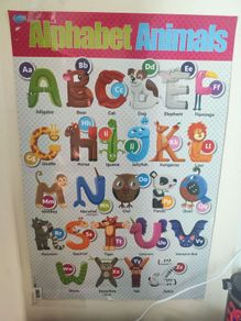 alphabet