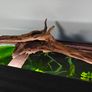 200L curved Aquarium,  Fish tank, fully equipped Image 3