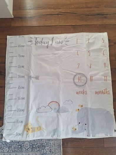 Milestone baby blanket