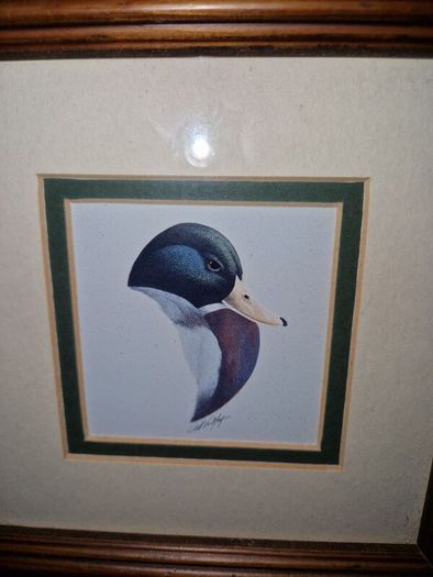 Vintage Drake print