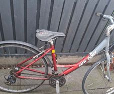bikes for adults