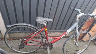 bikes for adults