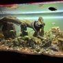 aquarium Image 2