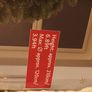 Christmas tree Image 3