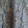 Zara, Coast dress Image 8