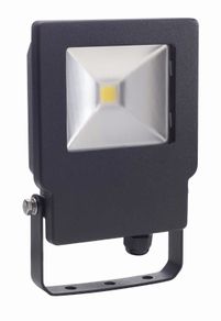 Floodlights Range Dual Voltage Models work on 110V and 220V