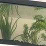 fish tank Image 3