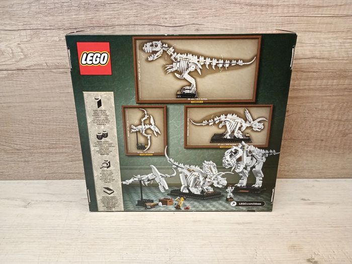 Lego 21320 Dinosaur Fossils