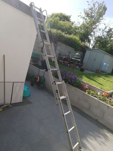 ladder