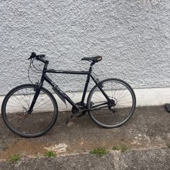 trek bike