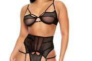 Black Sheer Lace Lingerie Set with Garter Belt